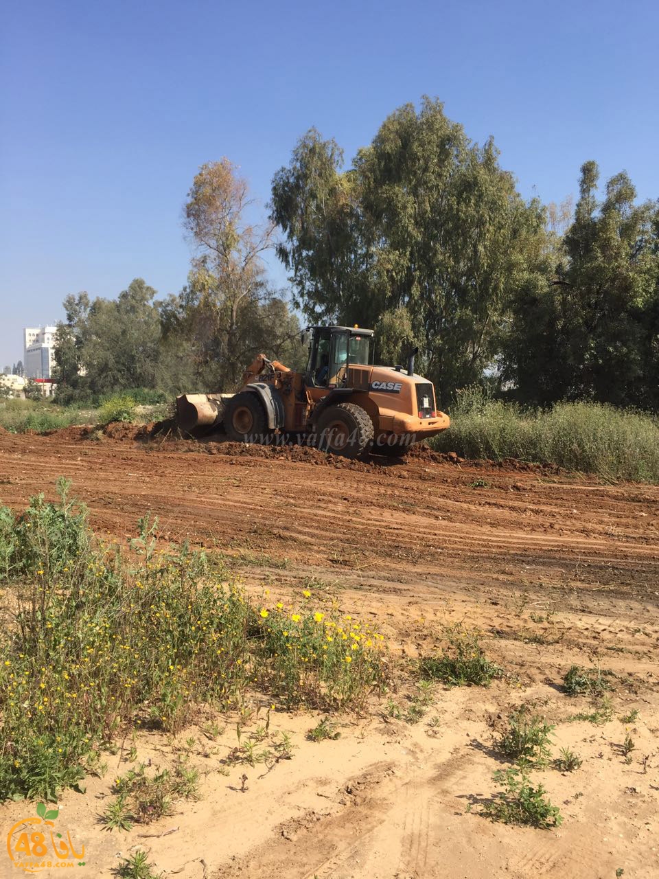 maqbara shaqrkiya (17).jpg